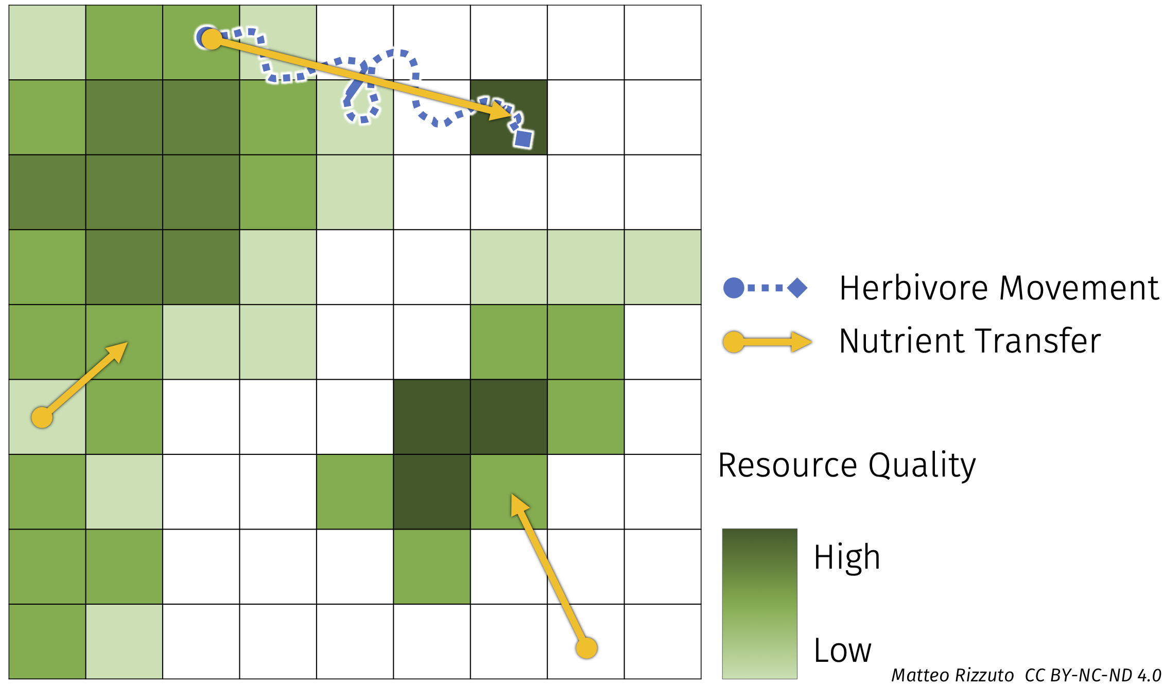 A drawing of potential pathways for nutrient transfer mediated by animals