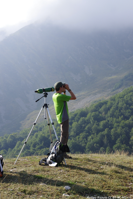 It can take a long time to find a chamois to observe…